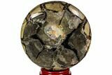 Polished Septarian Geode - Madagascar #110878-2